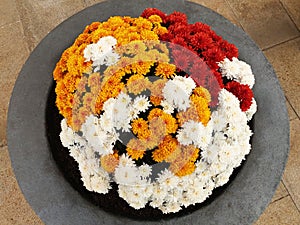 Top view of chrysanthemum bush with colorful flowers