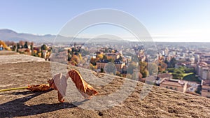 Top view of the city of Bergamo with a yellow leaf on the edge of the wall