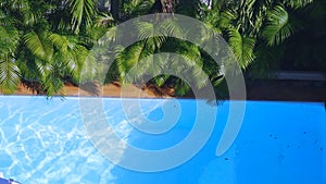 Top view of clean water surface in swimming pool and palm trees, sun shine bright water-pool loop background