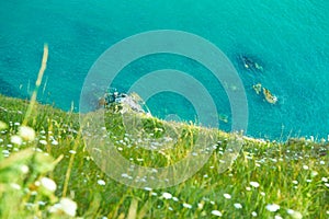 Top view from the cliff on the blue ocean waves and green grass hills and wild flowers.