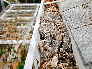 Top view clogged dirty gutter backyard residential home in Dallas, Texas, USA, full of dried leaves, twig, debris on eavestrough