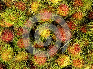 Top view, Closed up heap of rambutans surface in the bucket.