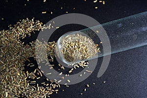 Top view closeup of dried rosemary leaves in a glass tube