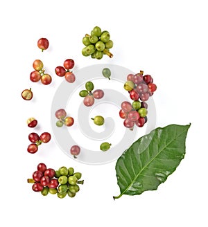 Top view of coffee beans and green leves on white background photo