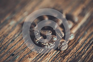 Top view of coffee beans on wood background, Colour retro style, Thailand