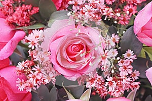 Top view colorful bouquet of pink rose flowers blooming with water drops texture for background