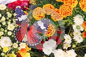 Top view colorful decorative artificial red with white and black striped butterfly patterns in garden flowers natural for