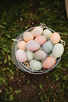 Top view of colorful Easter eggs in a basket on the ground on the blurred background