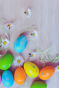 Top view of colorful Easter eggs decorations and dandelions on wooden background