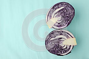Close up of head of red cabbage cut in half on blue bright surface.