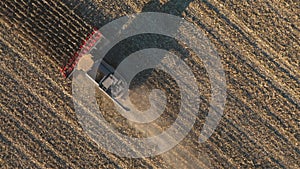 Top view of combine gathering corn or wheat crop. Flying over harvester slowly rides among field cutting barley or maize