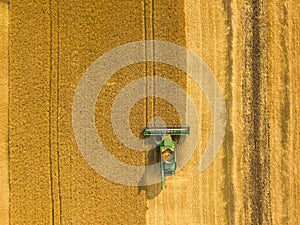 Top view combine harvester gathers the wheat at sunset. Harvesting grain field, crop season