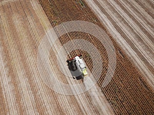 Top view of Combine harvesting genetically modified soya bean