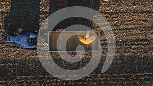 Top view of combine loading off ripe corn grains into tractor trailer. Aerial shot of farmland during harvesting process