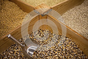 Top view composition  with cereals like buckwheat maize rice peas haricot millet oats beans poppy seed herbage