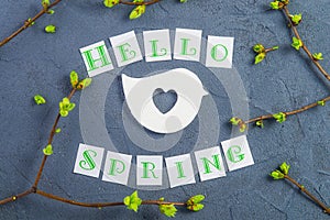 Top view composition of Hello spring lettering, branches with young shoots of greenery and handcraft bird figure with cutout in sh