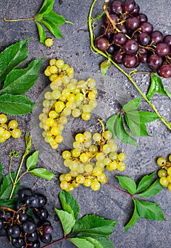 Top view composition of various grapes: red, white and black berries and green leaves with water drops on the dark concrete backgr