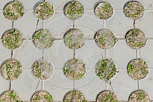 Top view of concrete pavement with growing grass. Background texture
