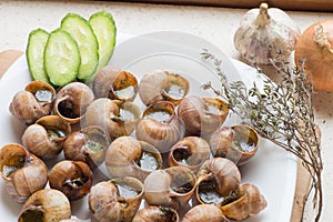 Top view of cooked snails (escargot) - traditional portuguese sn