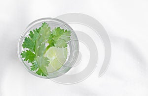 Top view and copy space of detox water recipe.