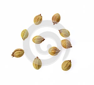 Top view of coriander seeds on white background