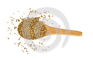 Top view of Coriander seeds in wooden spoon on white background