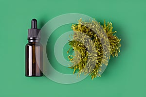 Top view of cosmetic bottle of essential oil and moss on green