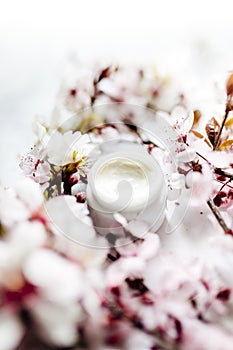 Top view of cosmetic cream with pink cherry flowers in a blue glass jar. Hygienic skincare lotion product