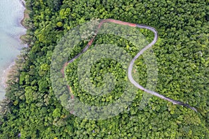 Top view of countryside road passing through the green forrest and mountain