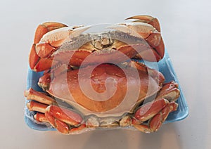 Top view of Crab seafood package