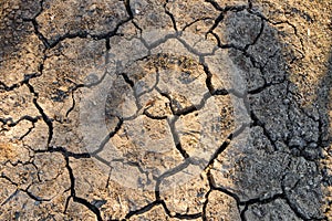 Top view of cracked dry soil. Nature texture of cracked dry earth. Global worming effect