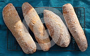 Top view of crusty home made ciabatta sour dough bread loaves, baked during the Coronavirus lockdown.