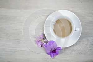 Top view of cup of coffee with purple flowers on white wooden table background. Food drink decoration backgrounds concept.