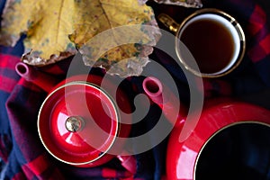 Top view of cup of tea, teapot and a leaf