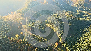 Top view of dark mountain hills covered with bare patches of cut down forest pine trees as result of deforestation