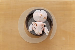 Top view of decorated candy, happy cute pink pigs playing in the mud