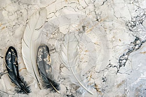 Top view of delicate feathers arranged on a cracked marble background photo