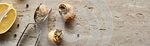 Top view of delicious cooked escargots with lemon, black peppercorn and tweezers on stone background, panoramic shot.