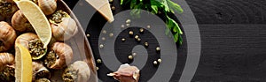 Top view of delicious cooked escargots with lemon slices on black wooden table with ingredients, panoramic shot.