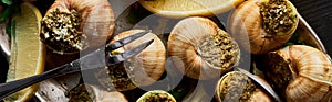 Top view of delicious cooked escargots with lemon slices and cutlery on plate, panoramic shot.