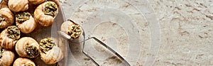 Top view of delicious cooked escargots on plate with tweezers on stone background, panoramic shot.