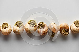 Top view of delicious cooked escargots in row on white background.