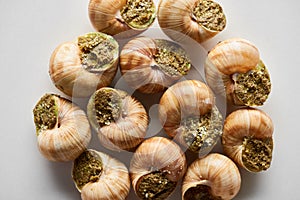 Top view of delicious cooked escargots on white background.