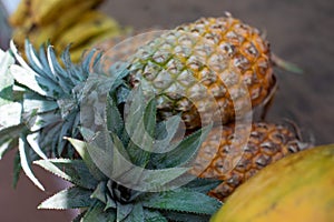 Top view of delicious fresh ripe tropical fruits pineapples Ananas comosus with green leaves lying in row near bananas.