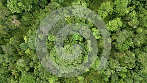 Top view of a dense tropical rainforest in Thailand