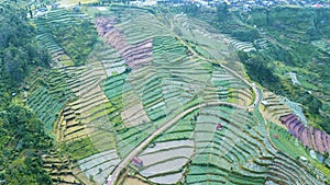 Top view of Dieng Plateau farmland