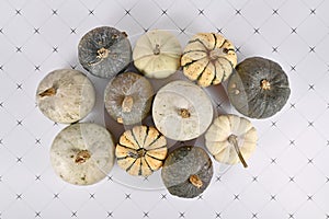 Top view of different green, white and yellow pumpkins and squashes