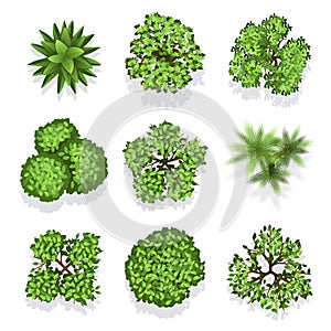 Top view different plants and trees vector set for architectural or landscape design