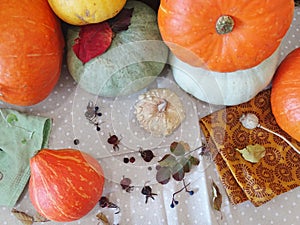 Top view on different pumpkins on the table, autumn season