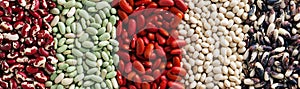 Top view of diverse beans creating a colorful pattern